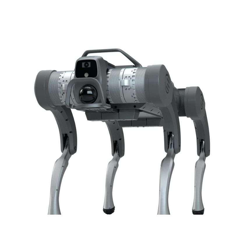 Bude tushen Robot Dog Quadruped