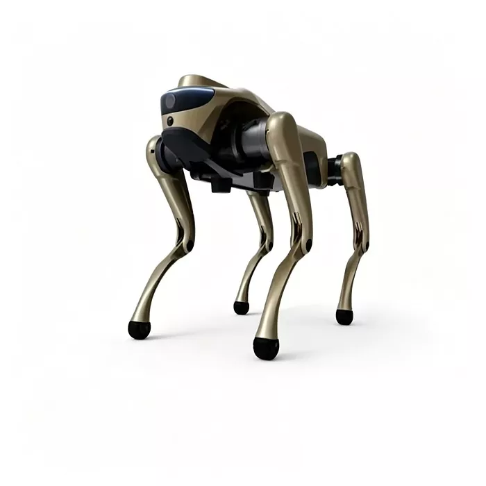 Karen Robot Quadruped